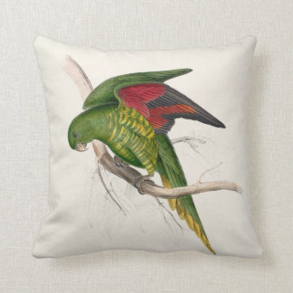 Coussin Parrakeet d'Edward Lear #9-Maton