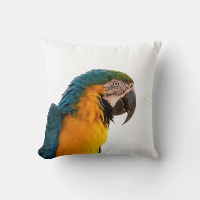 Coussin Parrot macaw (Recto)