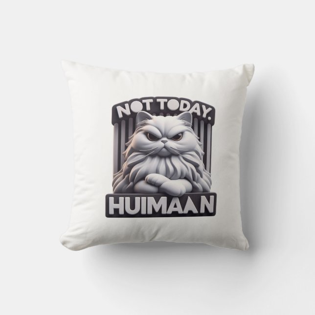 Coussin Pas aujourd'hui Huimaan Funny Conception de chat e (Recto)