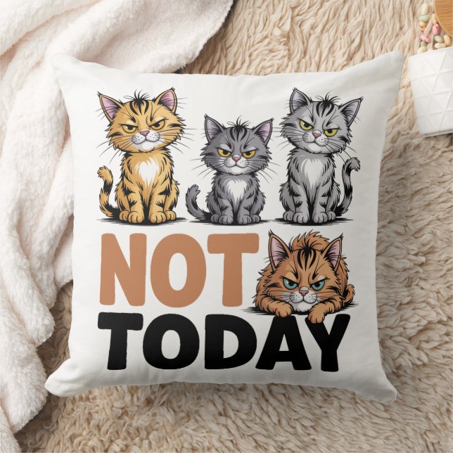 Coussin Pas aujourd'hui les chats (Couverture)