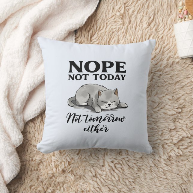 Coussin Pas aujourd'hui, pas demain - Chat endormi (Couverture)