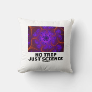 Coussin Pas De Voyage Science Mandelbrot Julia Set Fractal
