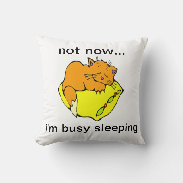 COUSSIN PAS MAINTENANT...JE DORME OCCUPÉ (Recto)