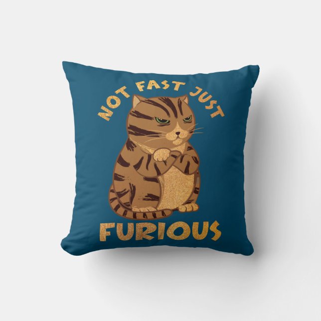 Coussin Pas Rapide Juste Furieux Funny Gros Chat Amateurs  (Recto)