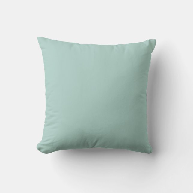 Coussin Pastel Aquamarine bleu-vert couleur solide SW 0063 (Recto)