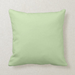 Coussin Pastel Green Solid Color Pairs Aloe Gel 058-83-18