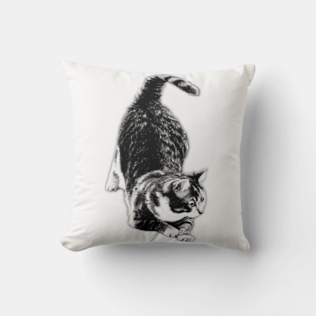 Coussin Pâtes, lois et drame calme (Recto)