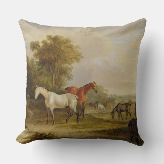 Coussin Pâturage de chevaux : Un étalon gris frôlant avec (Recto)