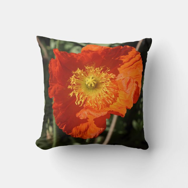 Coussin Pavot gallois (orange) (Recto)