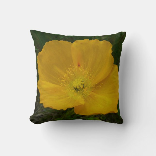 Coussin Pavot jaune Fleur sauvage de l'Alaska Floral (Recto)
