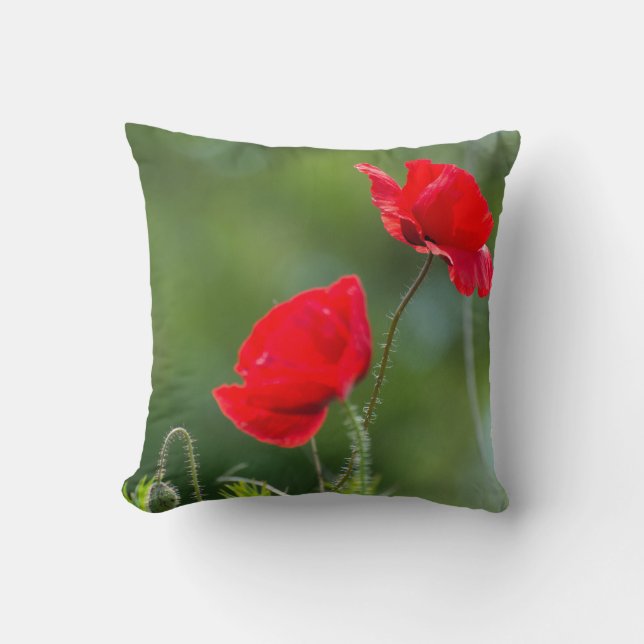 Coussin Pavot sauvage (Recto)