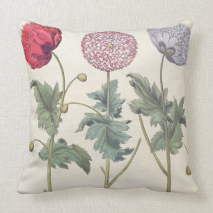 Coussin Pavots : rubicundis multiplex des albumoris