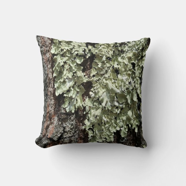 Coussin Pays Rustique Nature Moss Tree Bark Photo (Recto)