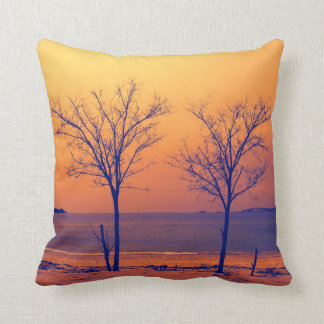 Coussin paysage