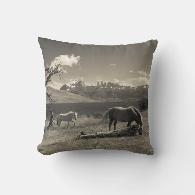 Coussin Paysage avec chevaux (Recto)