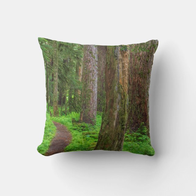 Coussin Paysage de forêt ancienne (Recto)