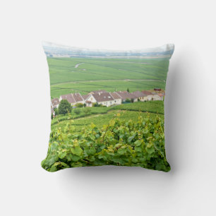 Coussin paysage en Champagne-Ardenne, France