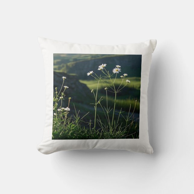 Coussin Paysage naturel de la marguerite blanche (Recto)