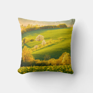 Coussin Paysage rural paisible en poutres de soleil. Beau