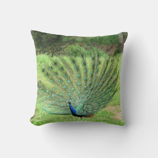 Coussin - Peacock (Recto)