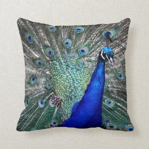 Coussin Peacock