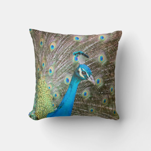 Coussin Peacock avec ses plumes fanées - Vert bleu (Recto)