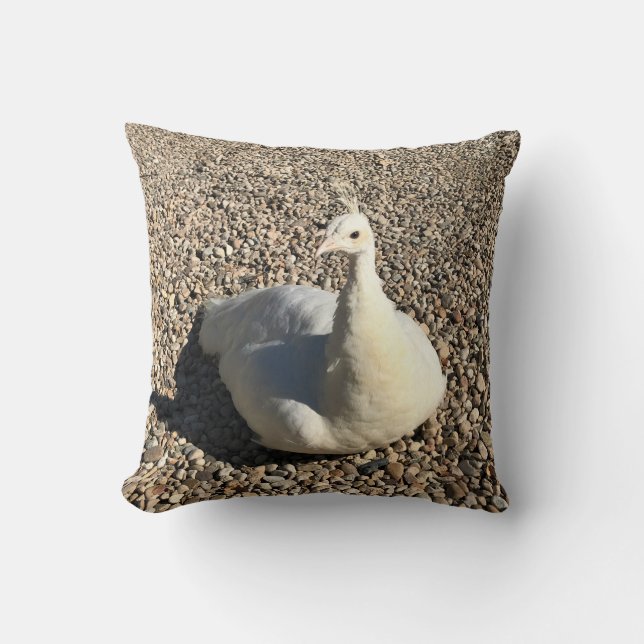 Coussin Peacock Blanc, Idaho (Recto)