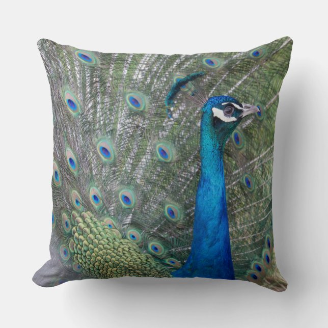 Coussin Peacock Photographie (Recto)