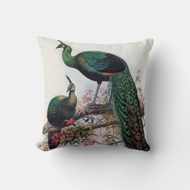 Coussin Peacock, vert pavo paon muticus 1872 ... (Recto)