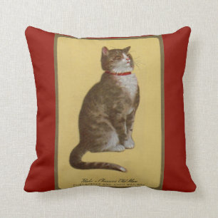 Coussin Peake, chat tigré de chat du vieil homme de