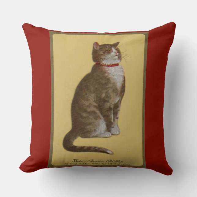 Coussin Peake, le chat tabby de Chessie (Recto)