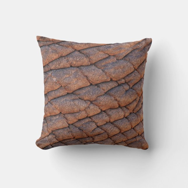 Coussin Peau d'éléphant (Recto)