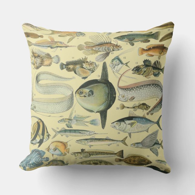 Coussin Pêche scientifique vintage (Recto)