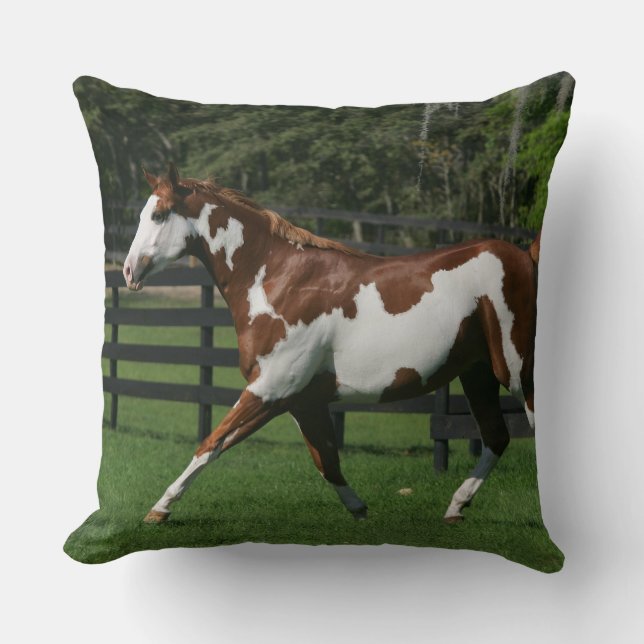 Coussin Peignez le cheval courant 1 (Recto)