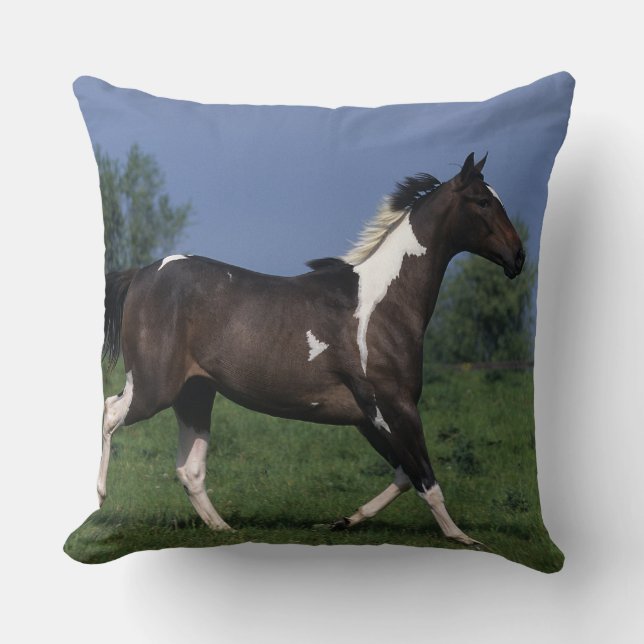 Coussin Peignez le cheval courant 2 (Recto)