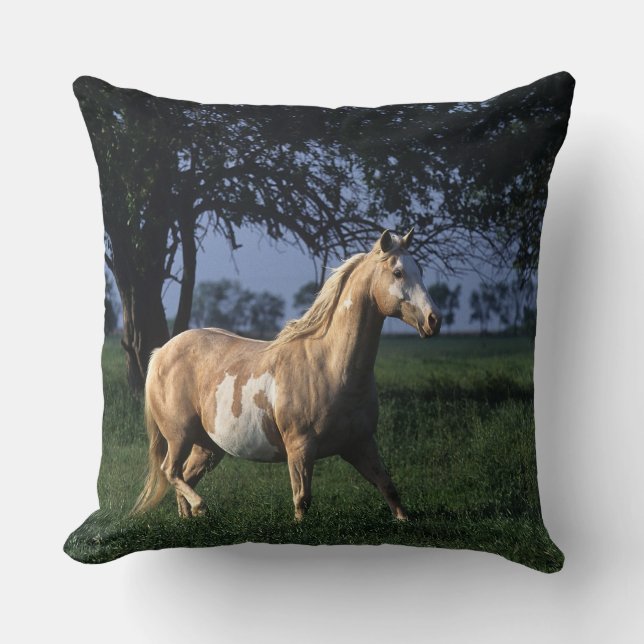 Coussin Peignez le cheval tenant 2 (Recto)