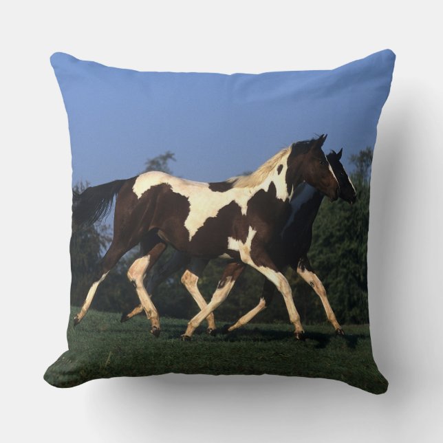 Coussin Peignez le fonctionnement de bêtes d'un an (Recto)