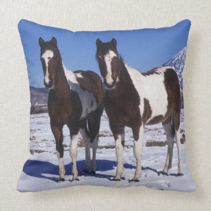 Coussin Peignez les chevaux se tenant dans la neige