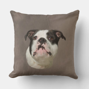 Coussin Peinture couleur d'eau Bulldog