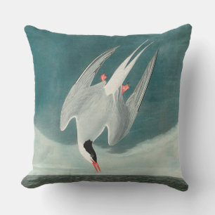 Coussin Peinture de faune d'oiseau de sterne arctique Audu