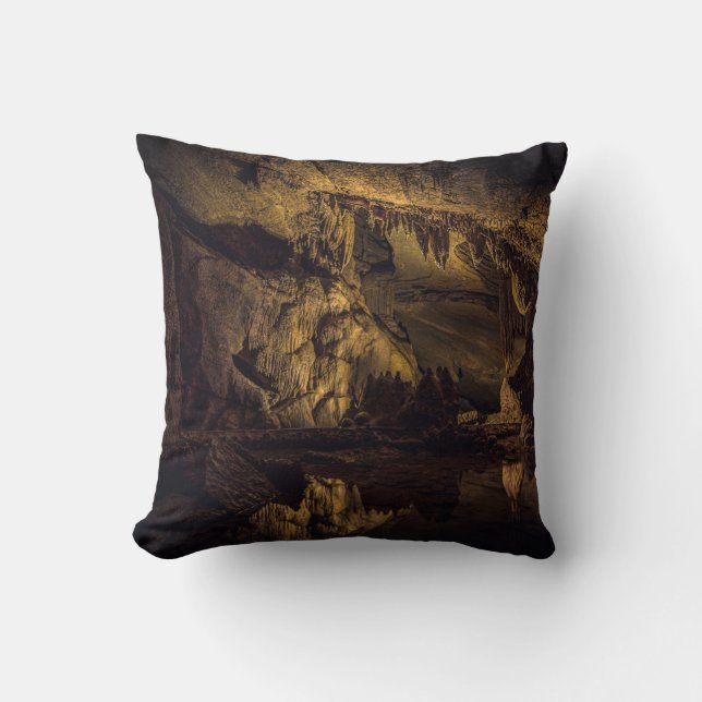 COUSSIN PEINTURE DE GROTTE BROWN ET NOIRE (Recto)