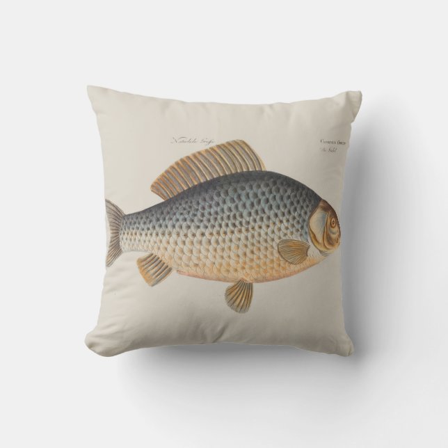 Coussin peinture de pêche de carpe dessin d'eau douce  (Recto)
