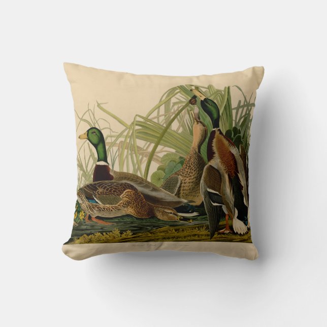 Coussin Peinture d'oiseaux de Mallard Duck Audubon (Recto)