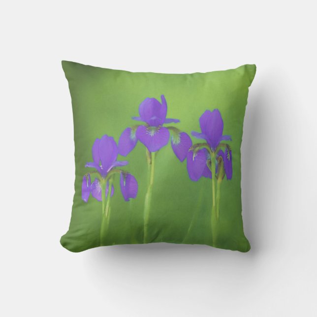Coussin Peinture Iris Violet - Art Fleur Originale (Recto)