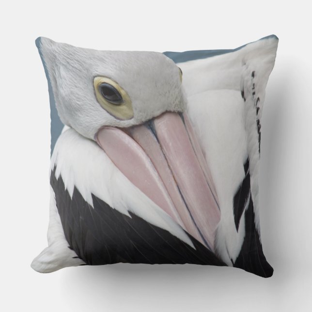 Coussin Pélican australien en gros plan (Recto)