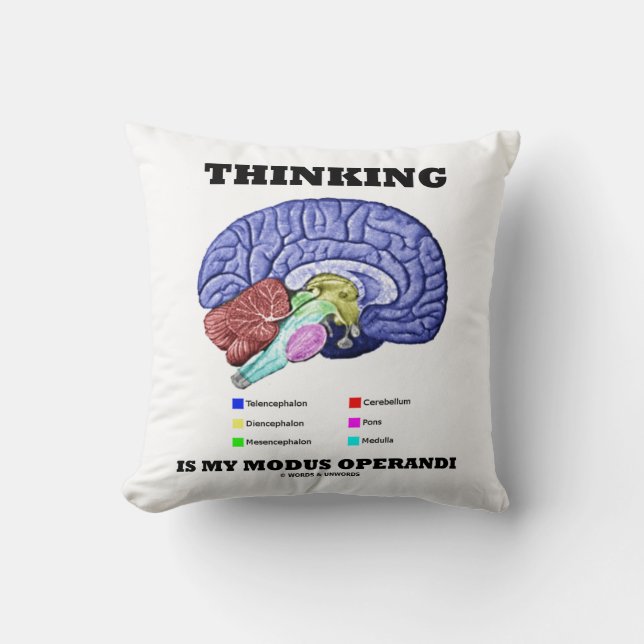 Coussin Penser Est Mon Modus Operandi Anatomie Du Cerveau (Recto)