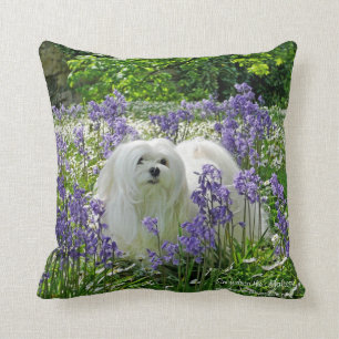 Coussin Perce-neige le coussin/coussin maltais