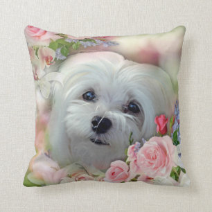 Coussin Perce-neige le coussin/coussin maltais
