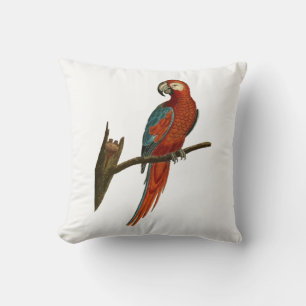 Coussin Perroquet