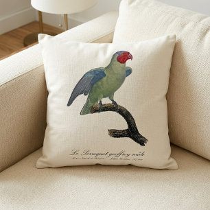 Coussin Perroquet à joues rouges mâle, Geoffroyus geoffroy